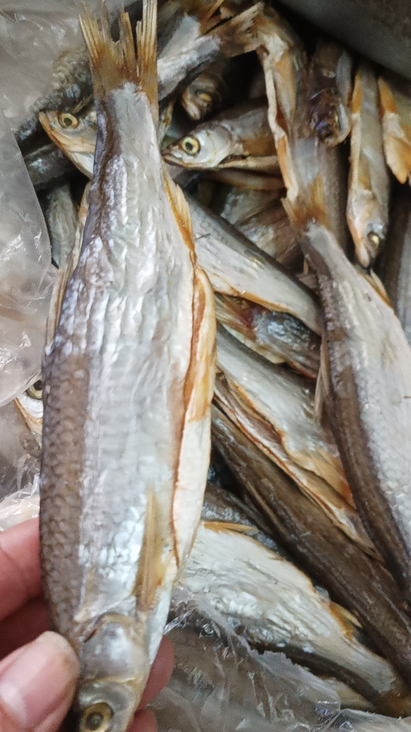 翘嘴鱼干货开肚翘鲌20一30公分品像一般