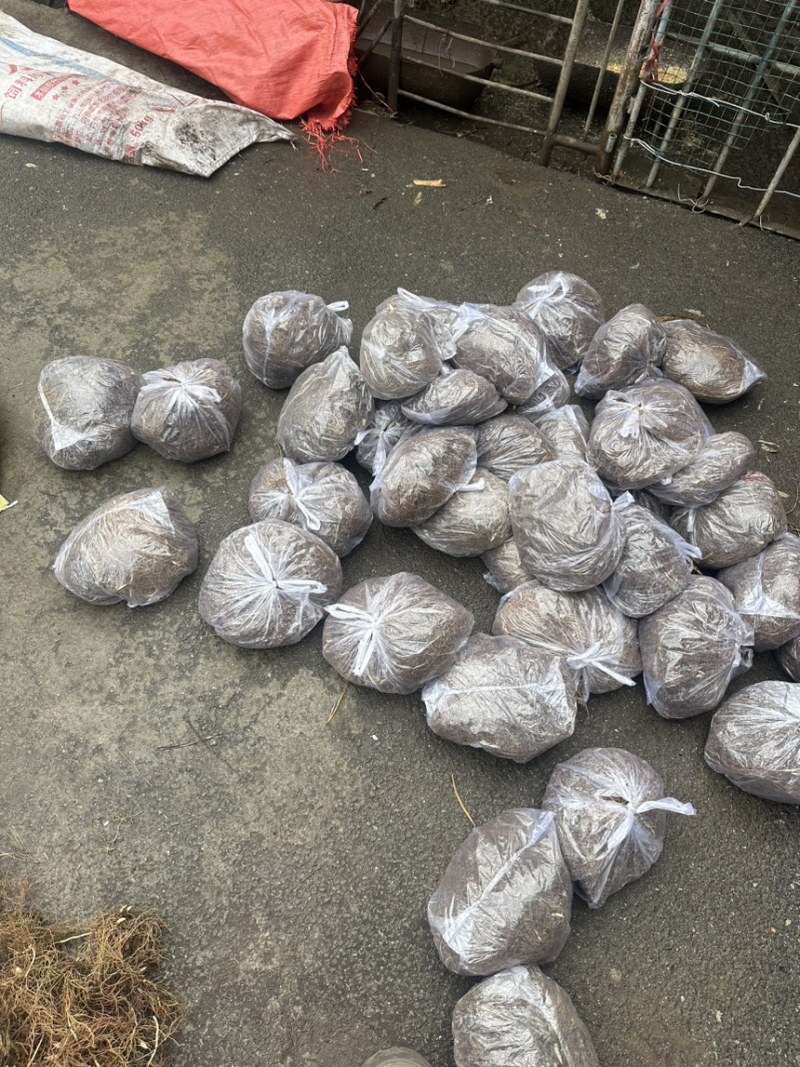 铃兰大量出售