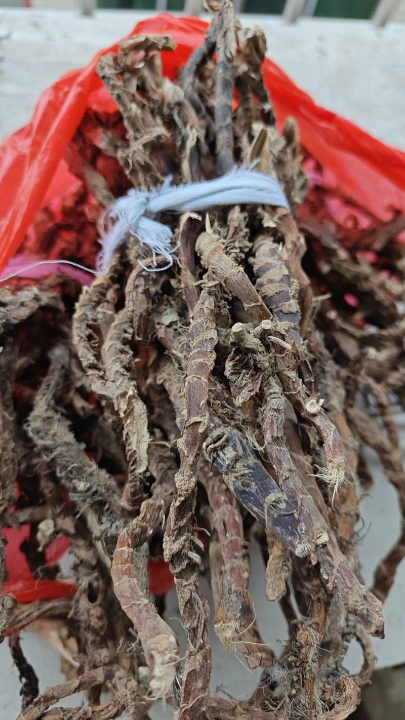 石菖蒲干货