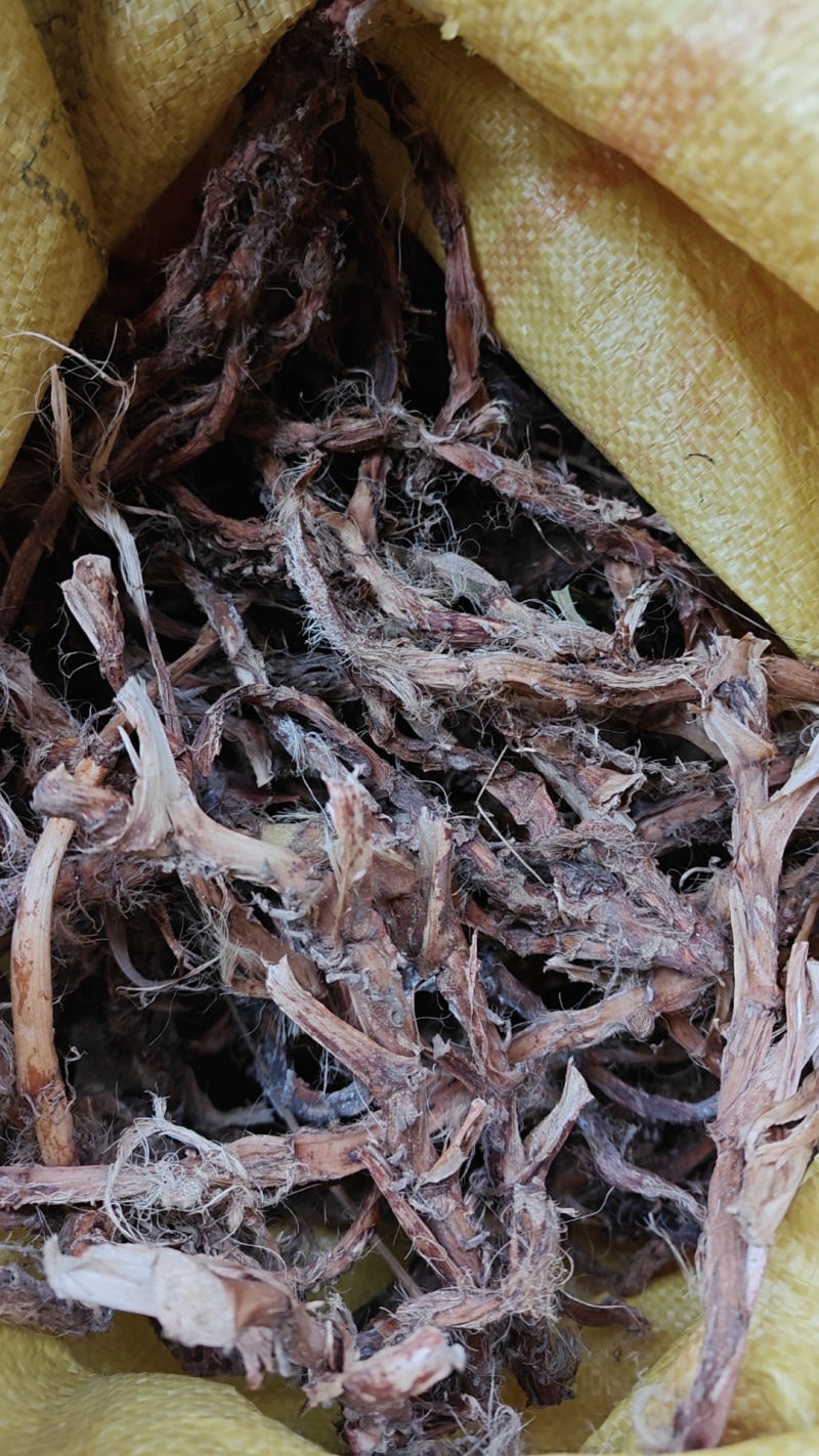 石菖蒲干货