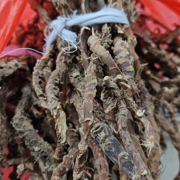 石菖蒲干货