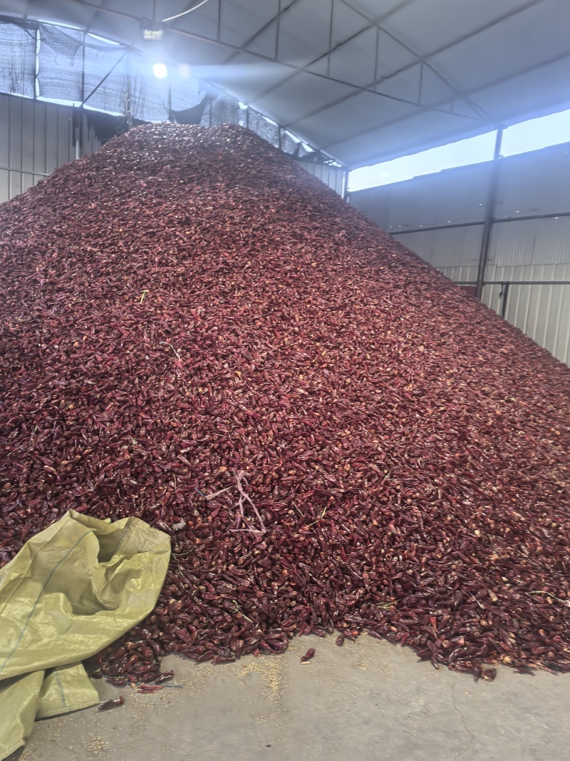 干辣椒-北京红干辣椒大量上市，颜色好，从手工剪扒。