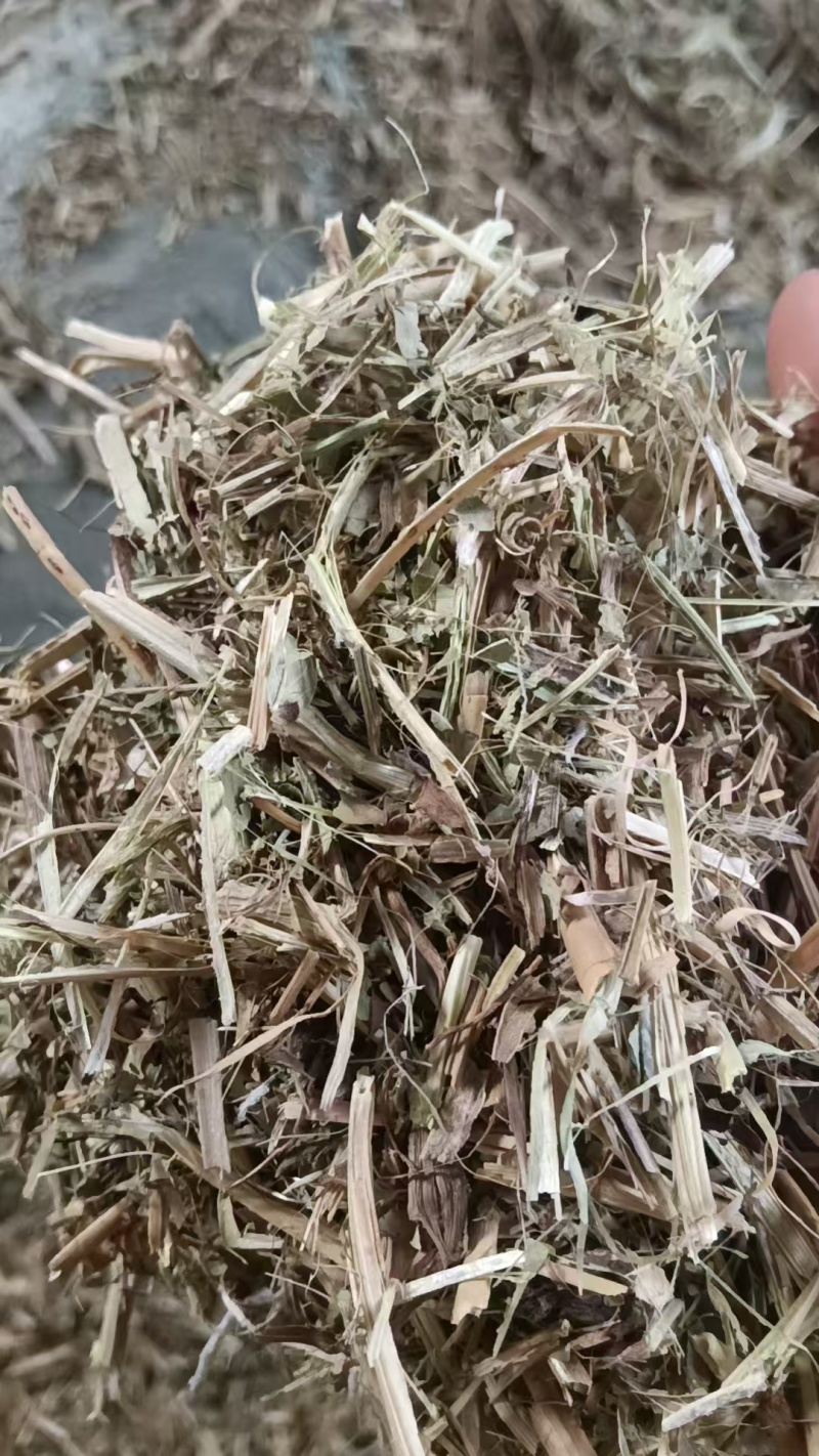花生秧