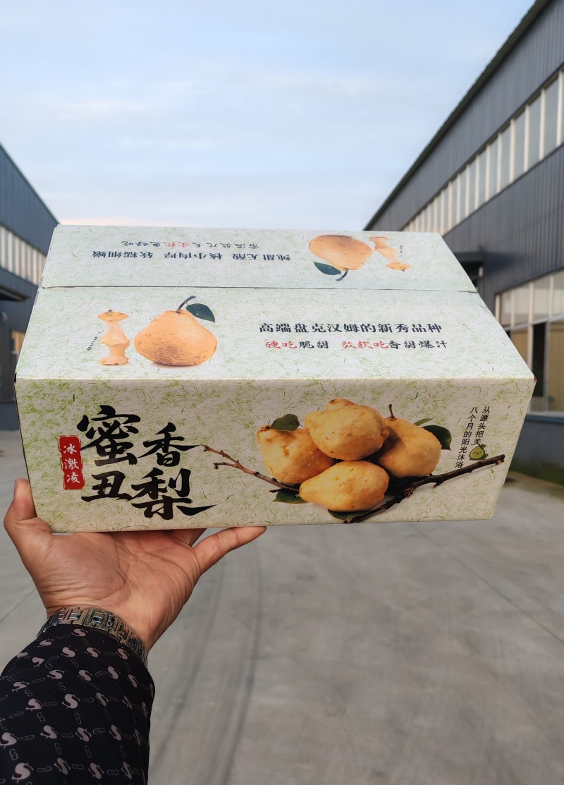 【一件代发】冰激凌蜜香丑梨一件代发非中华丑梨烟台产地直发
