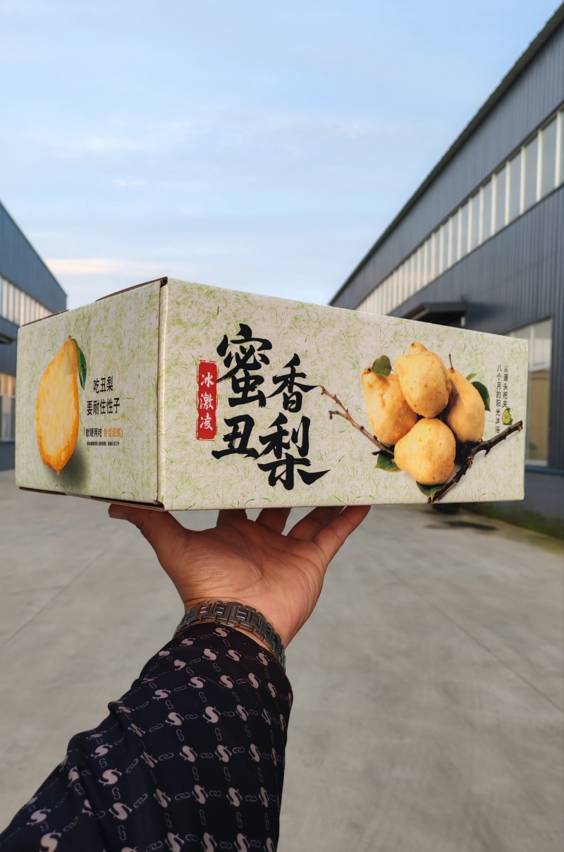 【一件代发】冰激凌蜜香丑梨一件代发非中华丑梨烟台产地直发