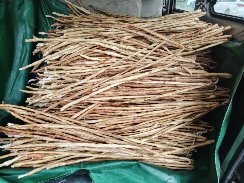 新鲜纯干牛肠