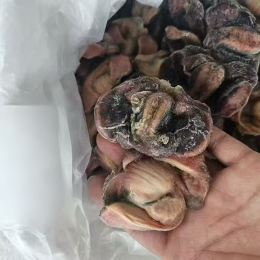 单冻乌鸡胗工厂直发3-5吨发货7500一吨