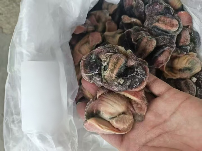 单冻乌鸡胗工厂直发3-5吨发货7500一吨