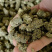 大量辣椒杆颗粒，常年生产，质量稳定，用于各养殖场和饲料厂