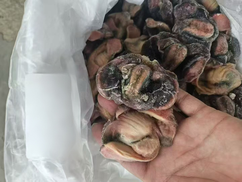 单冻乌鸡胗工厂直发3-5吨发货7500一吨