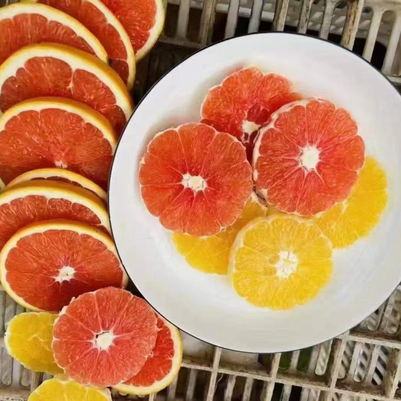 赣南脐橙