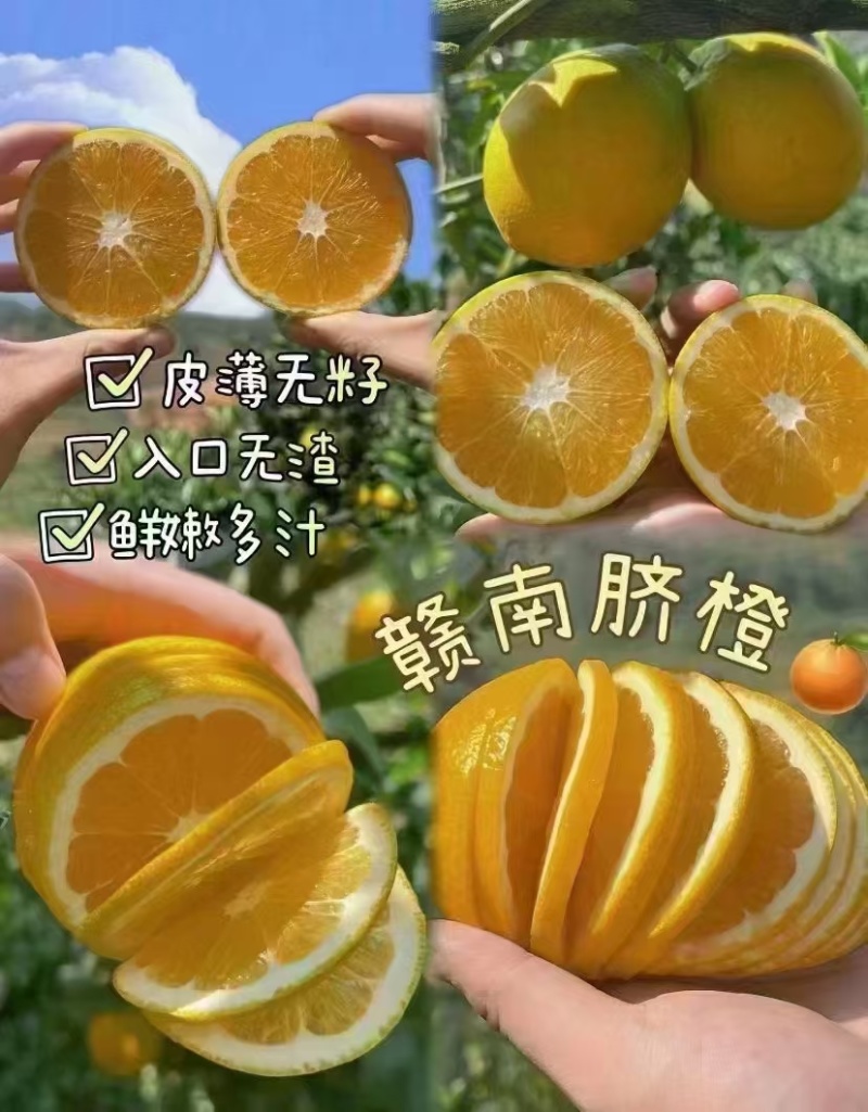 赣南脐橙