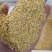 碎黄豆上地肥料豆牛羊饲养上地育肥全国供应