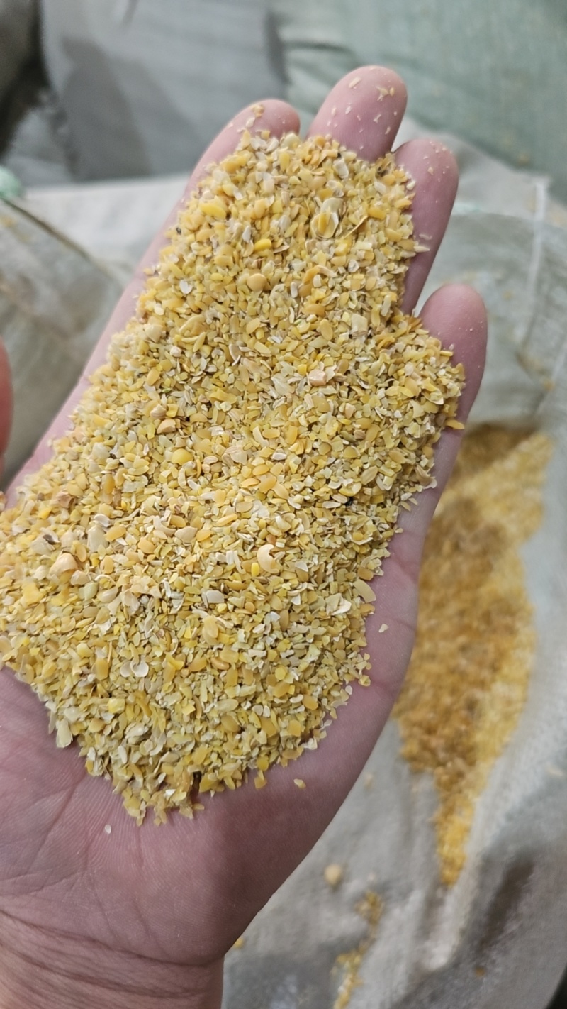 碎黄豆上地肥料豆牛羊饲养上地育肥全国供应