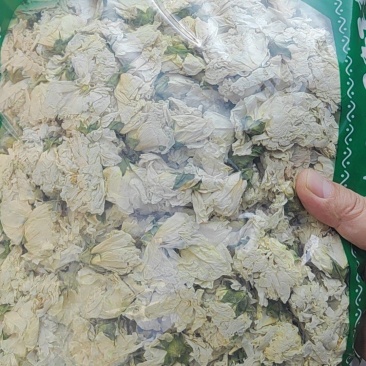 木槿花干货木槿花中药材！量大从优！欢迎选购！