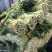 精品小棵西芹，山东金乡，亮黄杆，叶面好，大棚里优质芹菜，