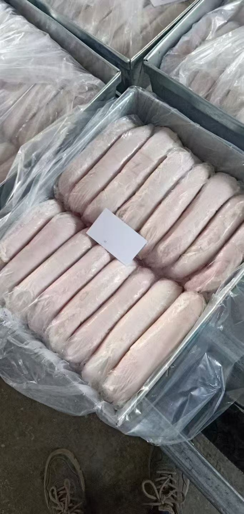 猪大肚子，一箱20斤，16个定装，水货