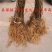 金艳猕猴桃树苗包技术包活保品种，死苗包赔现挖现发基地直发