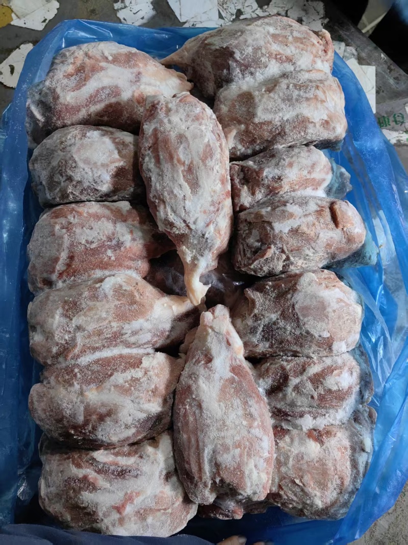 母猪龟腱，母猪龟肉，25年，