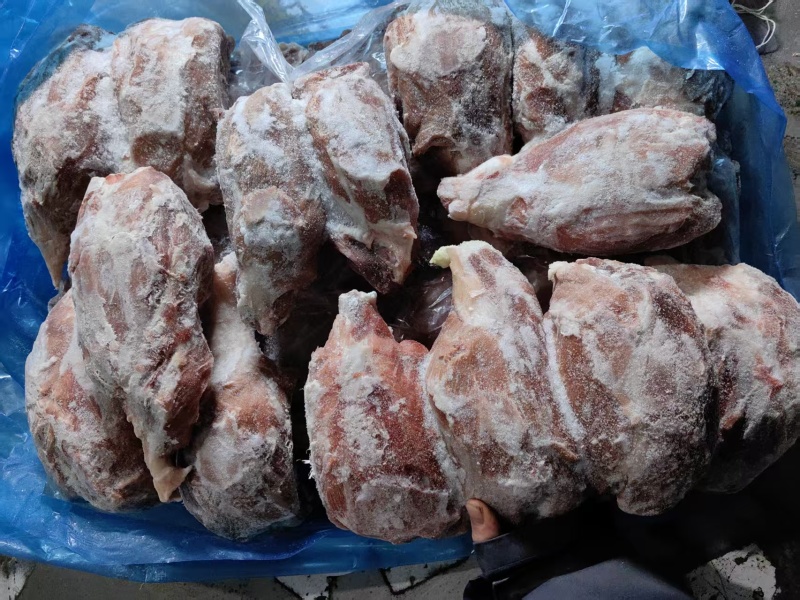 母猪龟腱，母猪龟肉，25年，