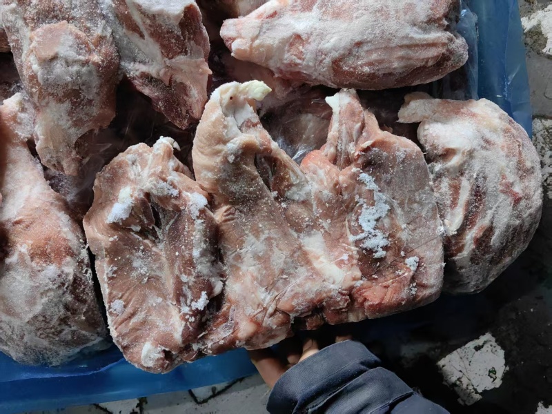 母猪龟腱，母猪龟肉，25年，