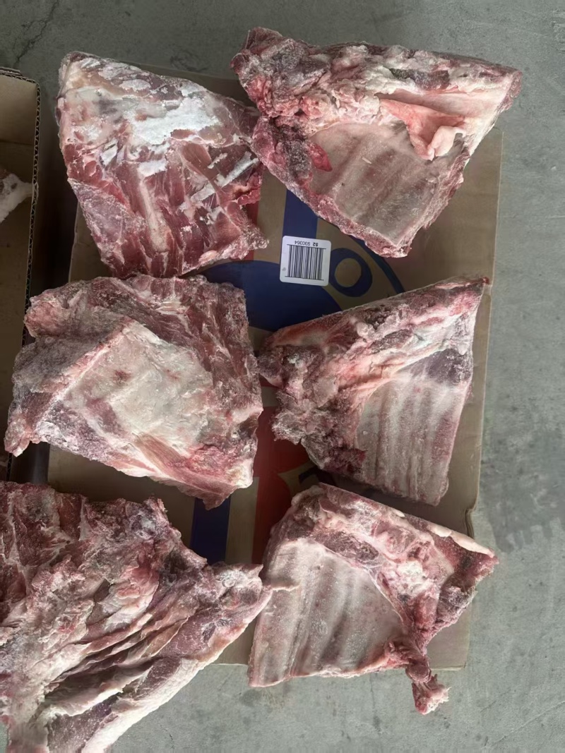 多肉小排80