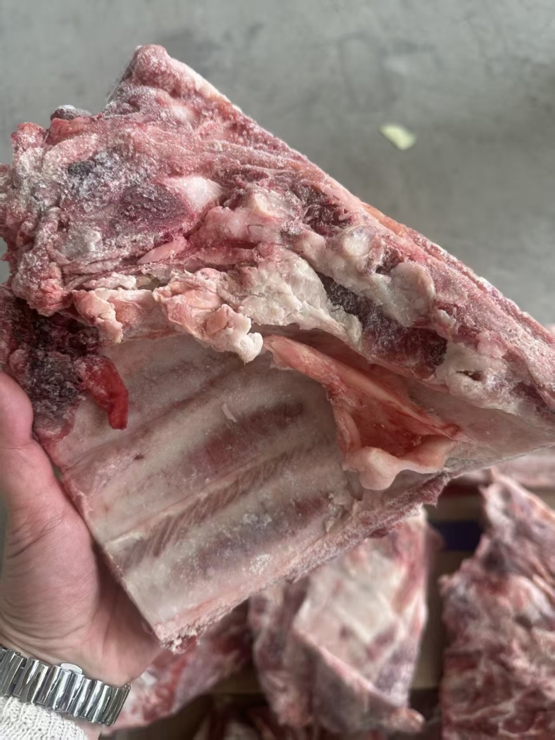 多肉小排80