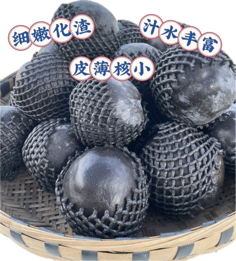 高原正宗藏乌梨、斯卡奇黑梨黑框装、礼盒装批发零售一件代发