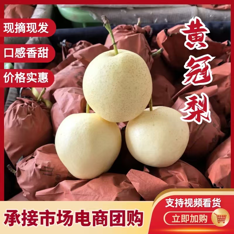 精品皇冠梨，新鲜皇冠梨，大量现货速发，甘甜可口欢迎选购