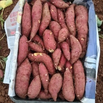 榴莲蜜薯