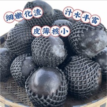 藏乌梨、高山黑梨、斯卡奇黑梨