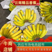 云南精品香蕉果面干净无花皮无硬芯，货源充足可发全国