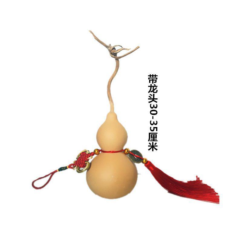 山西大亚腰葫芦30-60厘米大葫芦，大量上市，诚信经营
