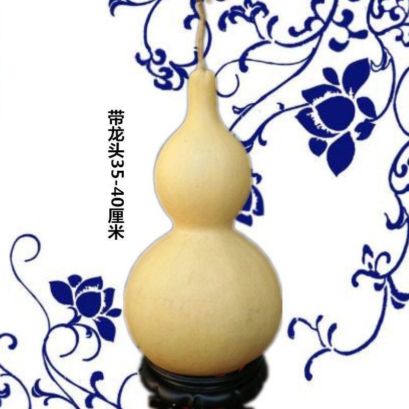 山西大亚腰葫芦30-60厘米大葫芦，大量上市，诚信经营