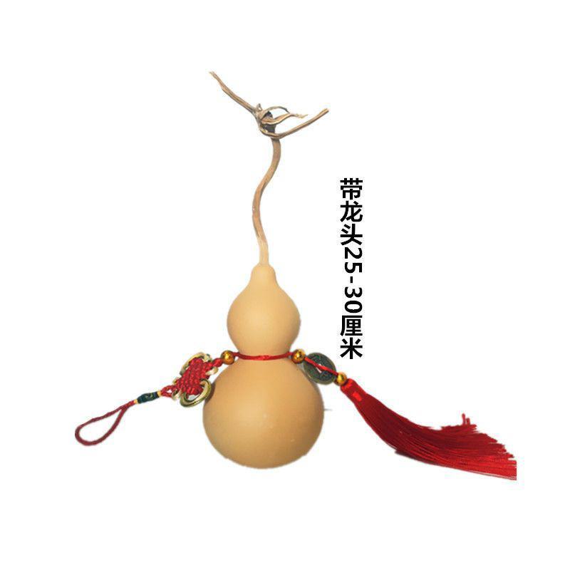 山西大亚腰葫芦30-60厘米大葫芦，大量上市，诚信经营
