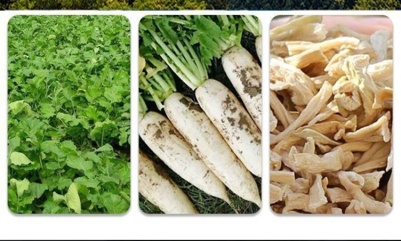 湘西外婆菜袋装农家下饭菜香辣正宗湖南特产萝卜干开胃菜速食