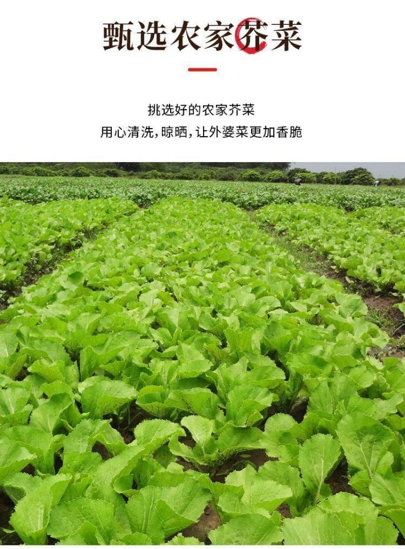 湘西外婆菜袋装农家下饭菜香辣正宗湖南特产萝卜干开胃菜速食