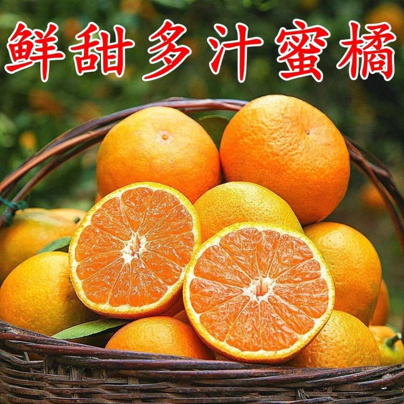 特早柑橘，产地一手货源对接电商，出口外贸产地直销