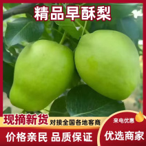 景泰县精品早酥梨，大量新鲜现货速发，保质保量欢迎选购