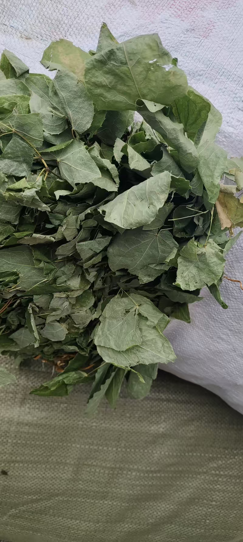 淫羊藿中药材黄石产地发货