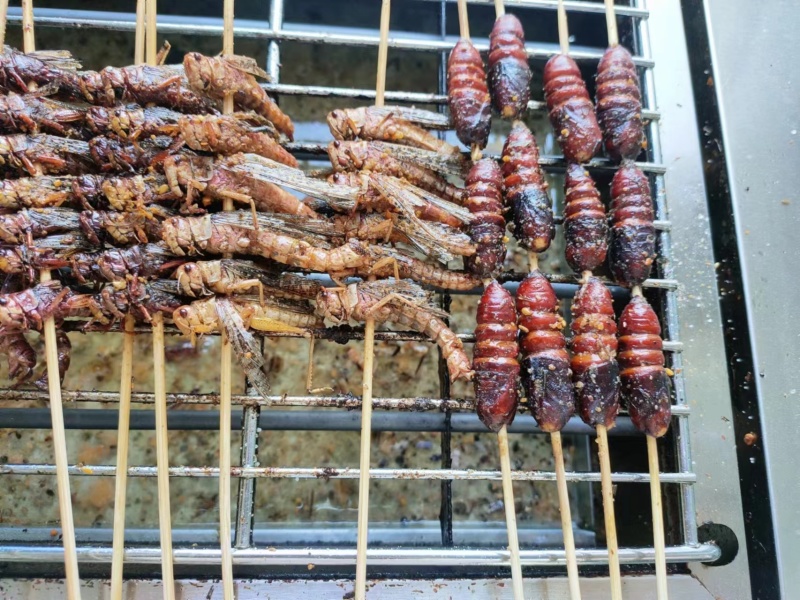 核桃蛹，质量好，价格低
