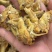 松白蝉，味道鲜美，质量放心