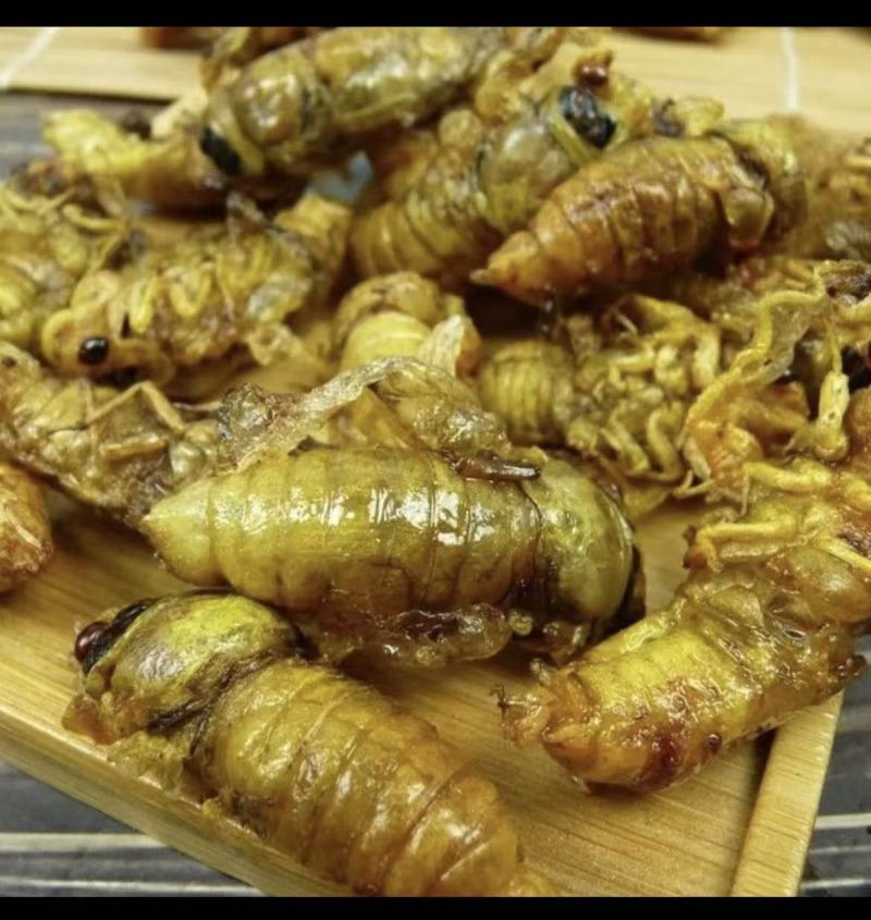 松白蝉，味道鲜美，质量放心