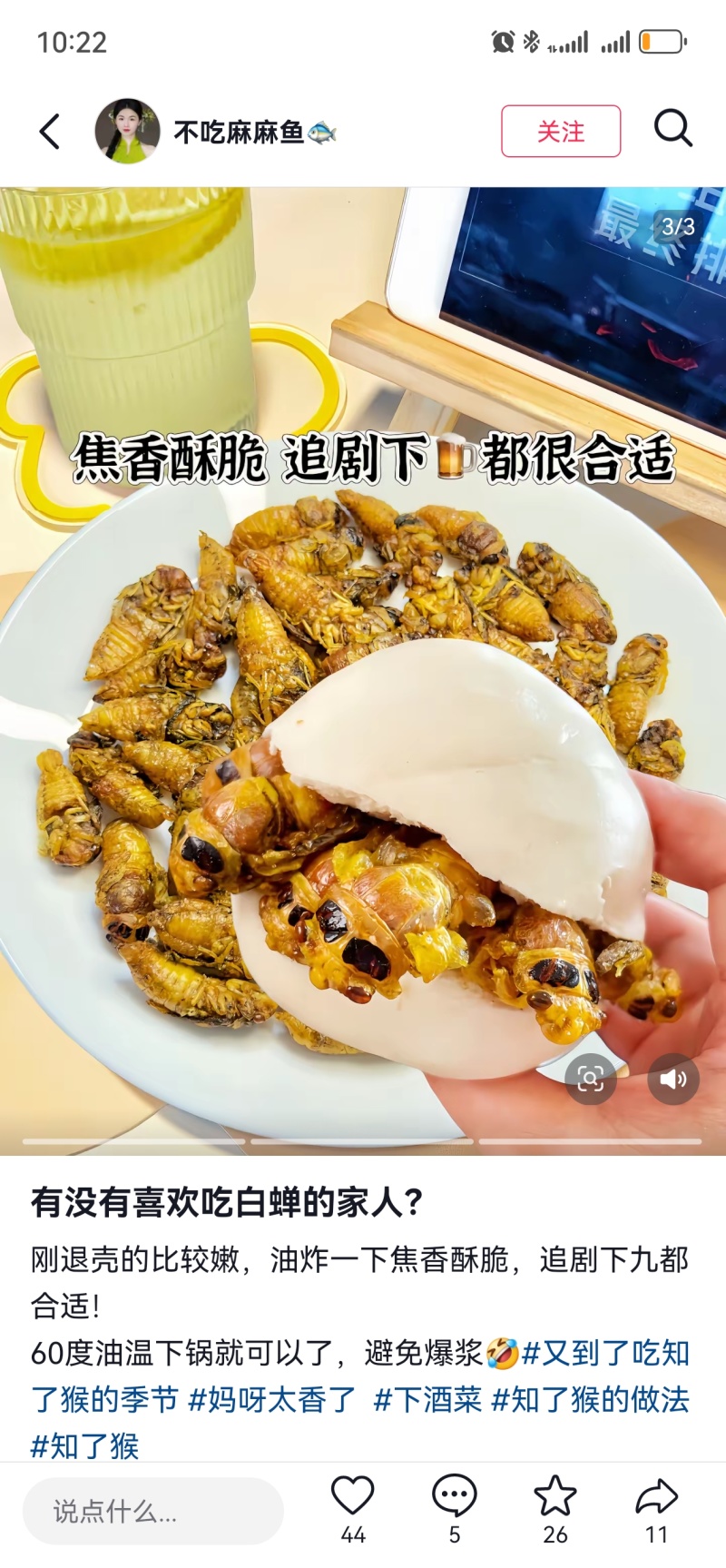 松白蝉，味道鲜美，质量放心