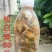 松白蝉，味道鲜美，质量放心