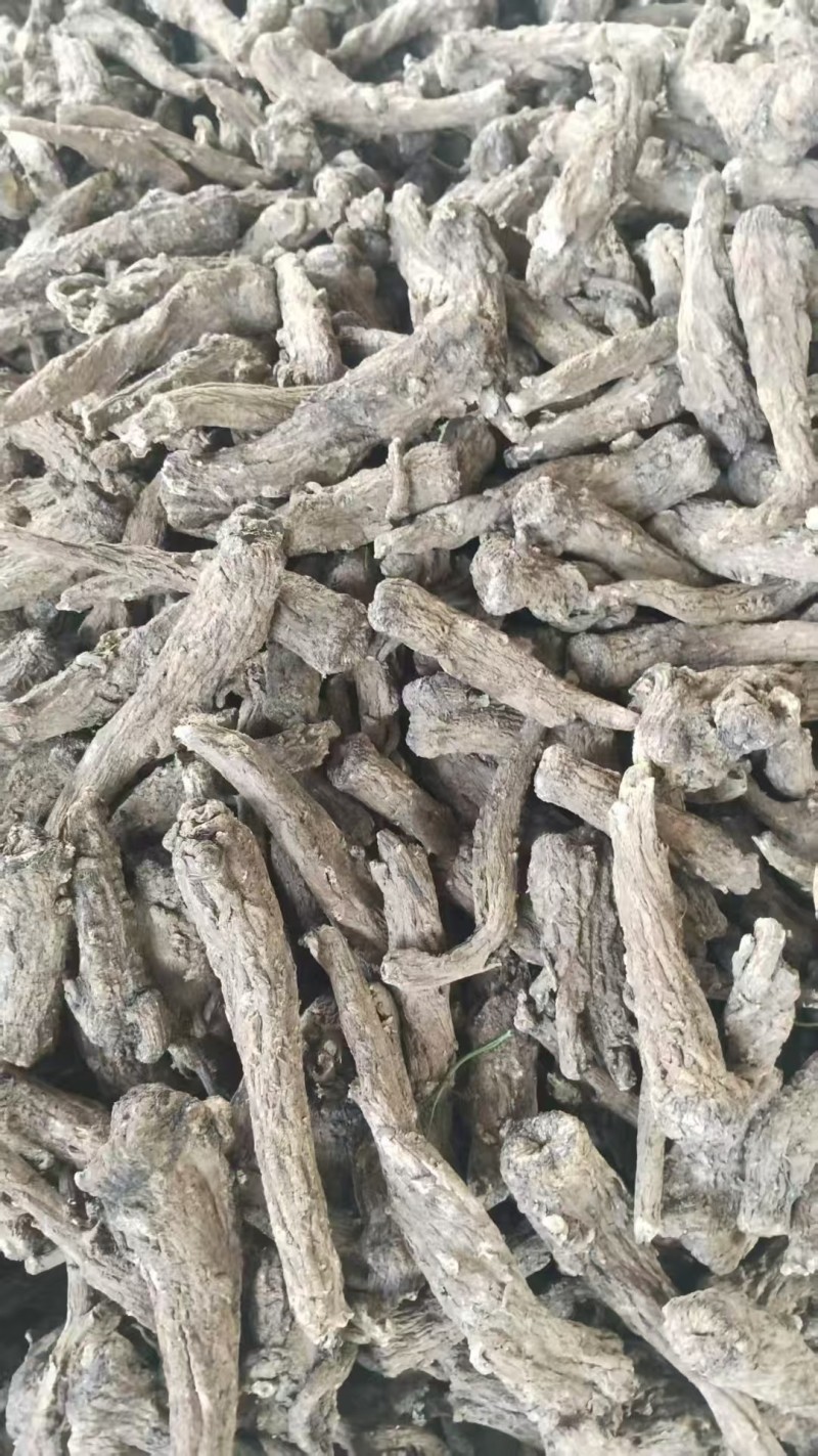 云木香全干统货基地直供品质优可视频看货欢迎咨询来电