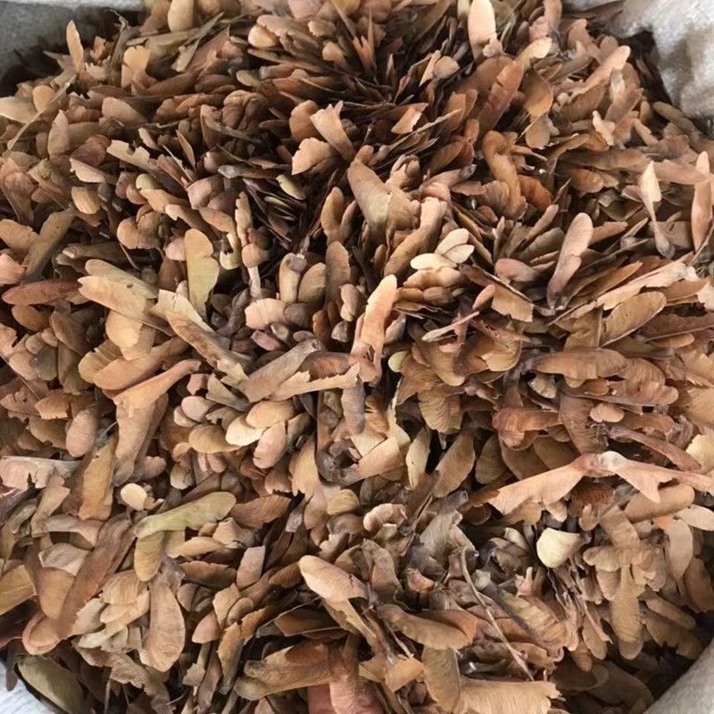 蝴蝶草中药材干蝴蝶草肺形草山蝴蝶野生干蝴蝶草