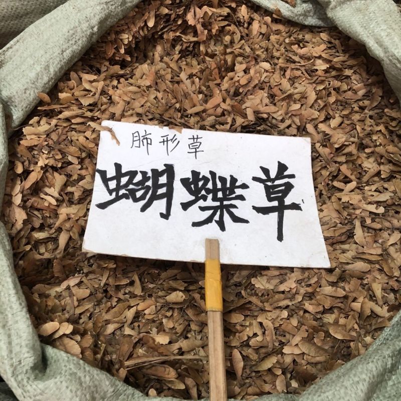 蝴蝶草中药材干蝴蝶草肺形草山蝴蝶野生干蝴蝶草