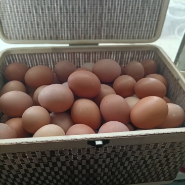 正宗农家散养鸡蛋