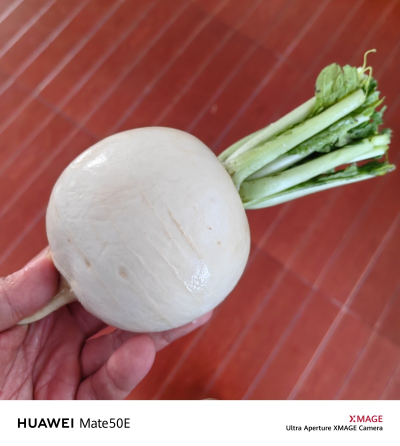 圆白萝卜，甘甜可口，水分足。